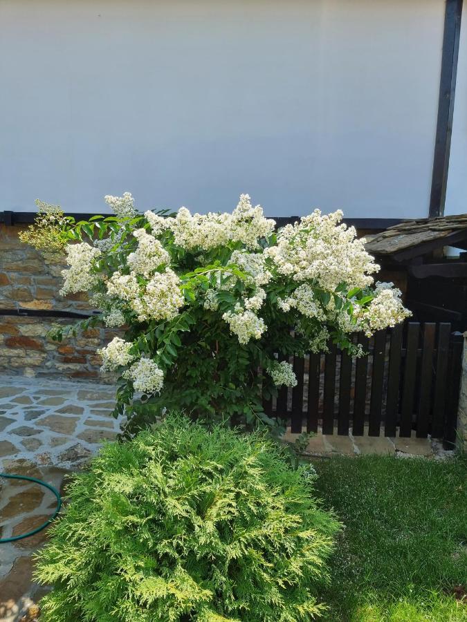 Семеен Хотел Чардаците Lovech Exterior foto
